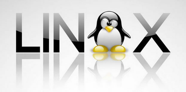 El top 48 imagen porque el logo de linux es un pinguino