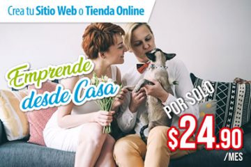 emprende desde casa con un sitio web o tienda online