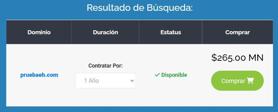 resultado de busqueda de dominio web